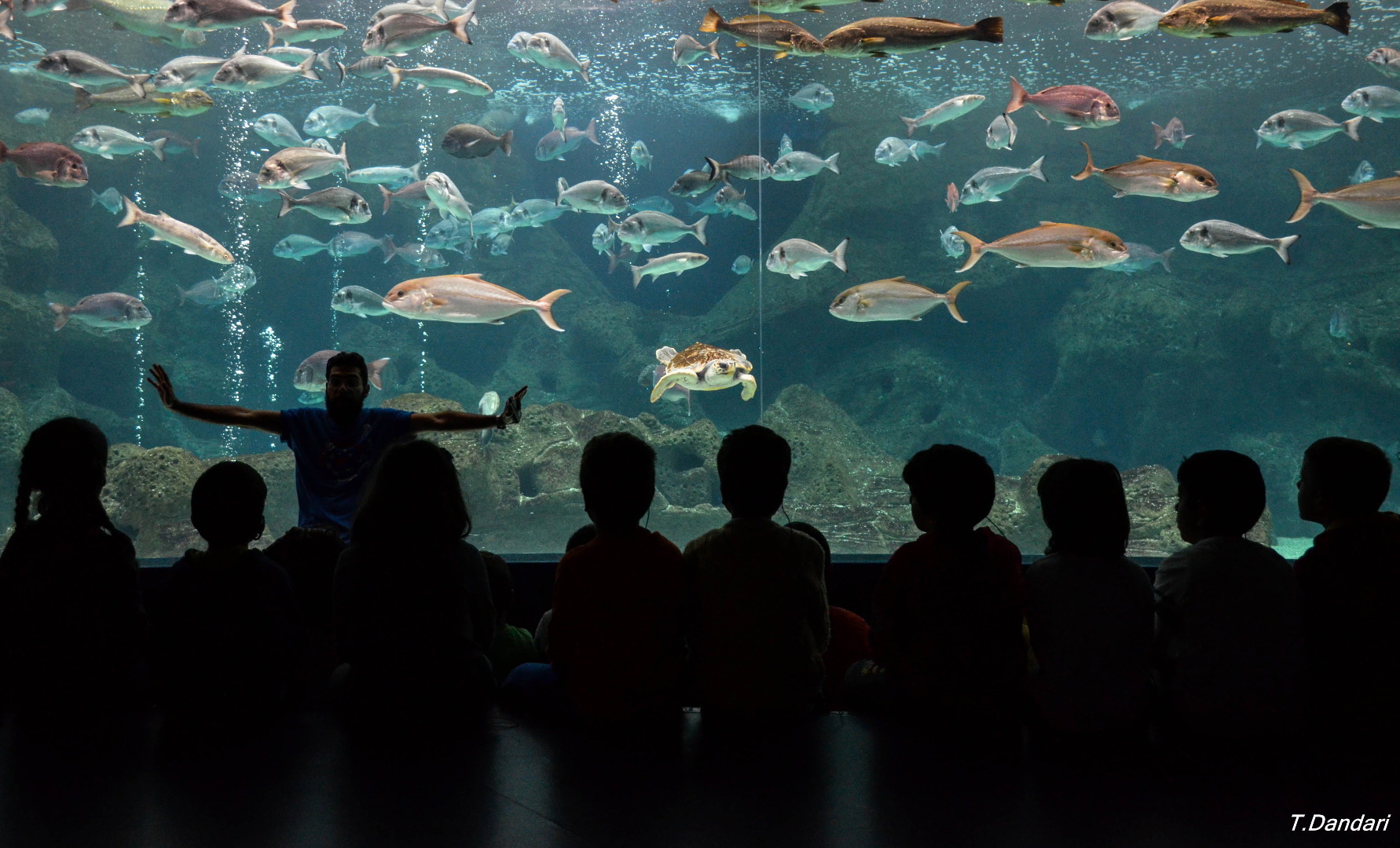 Blue Bay Resort & Spa